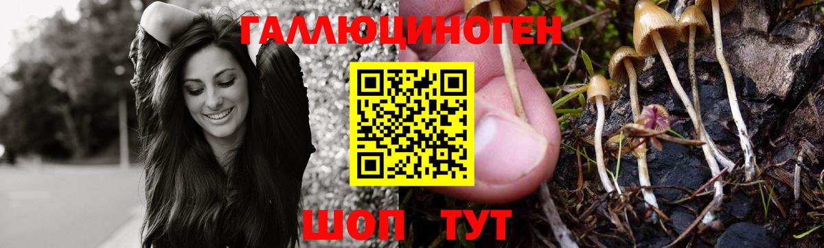 Галлюциногенные грибы GOLDEN TEACHER  Псилоцибиновые грибы Psilocybine cubensis  Вход с VPN  Сальск 